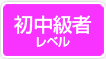 初中級者レベル